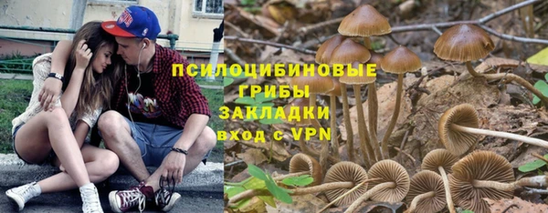 ГАЛЛЮЦИНОГЕННЫЕ ГРИБЫ Гусев