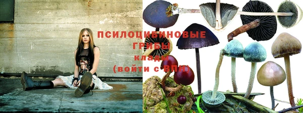 дурь Арсеньев
